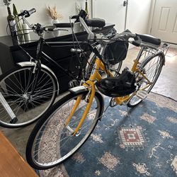 Two Schwinn Bikes