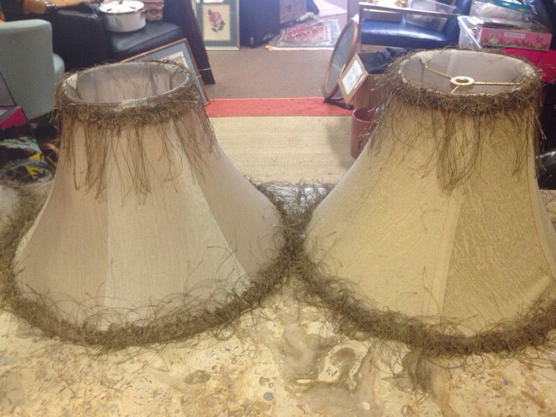 Lamp Shade with Feathers