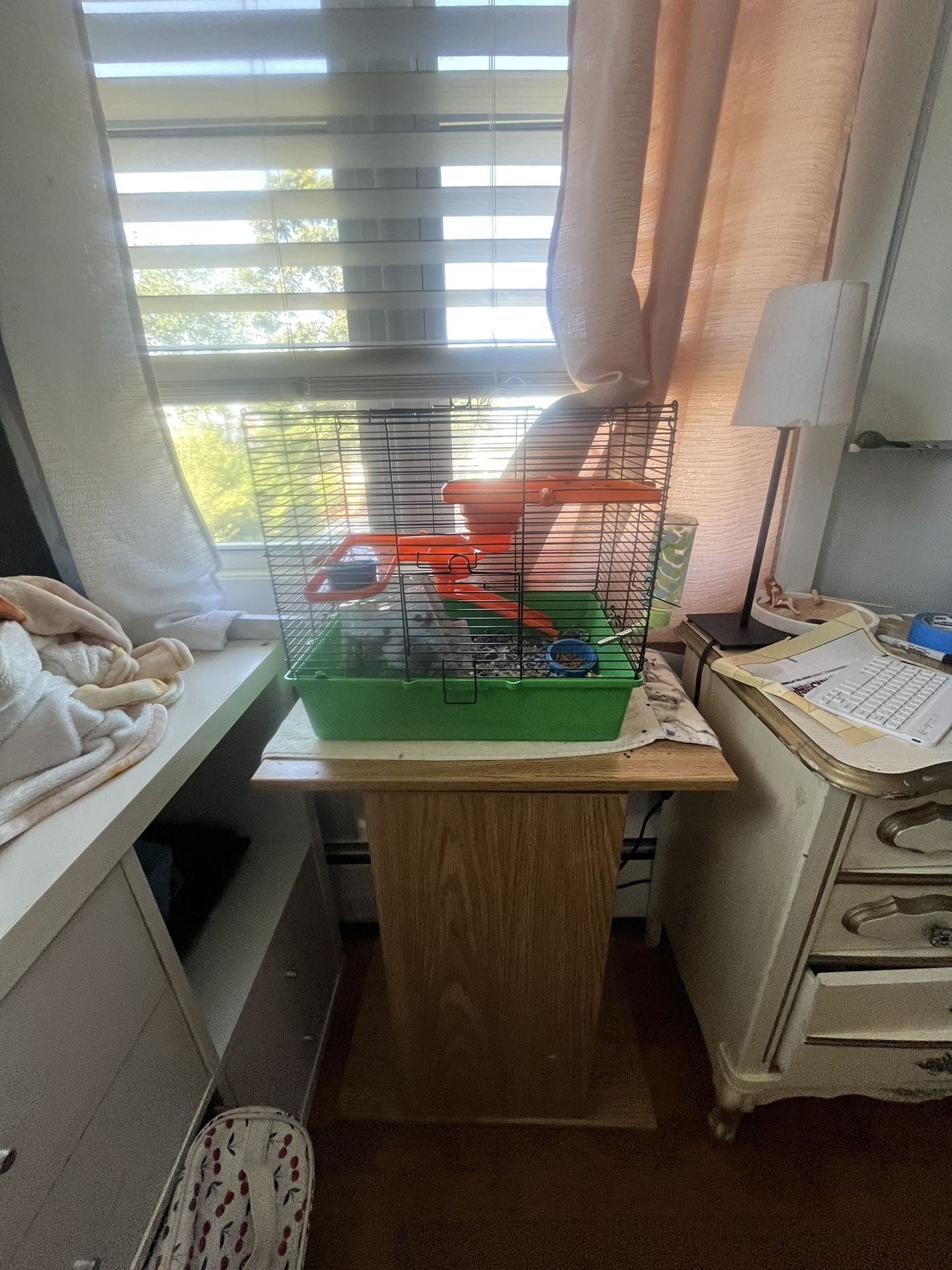 Hamster Cage