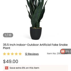 Fake Plant 