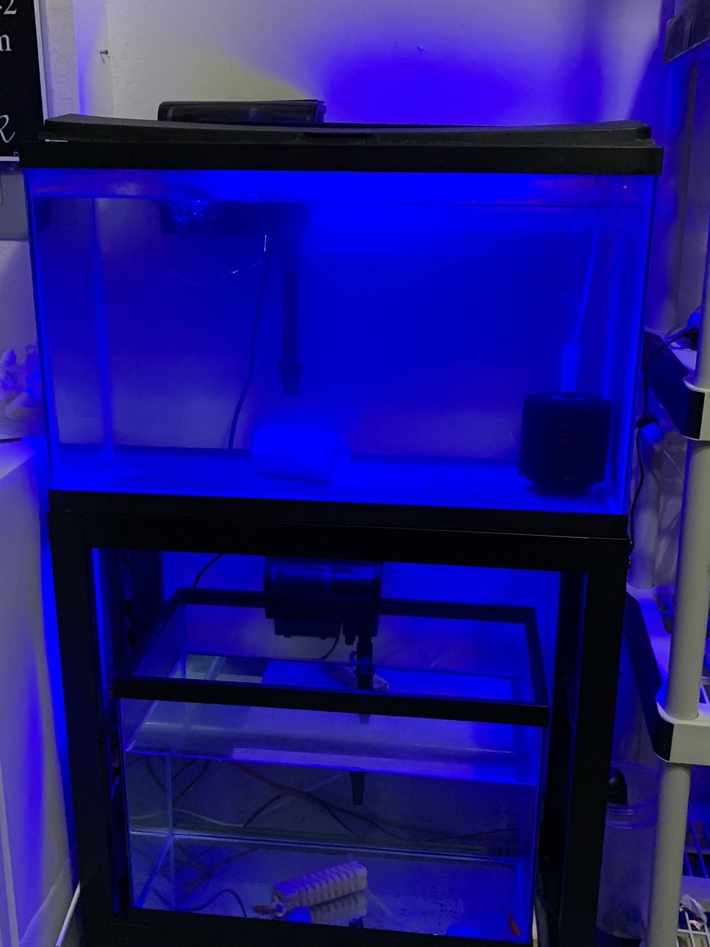 Fish Tank With Stand, Filter And Light