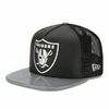 Raider