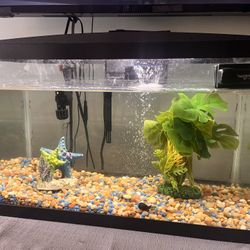 10 Gal Aquarium 