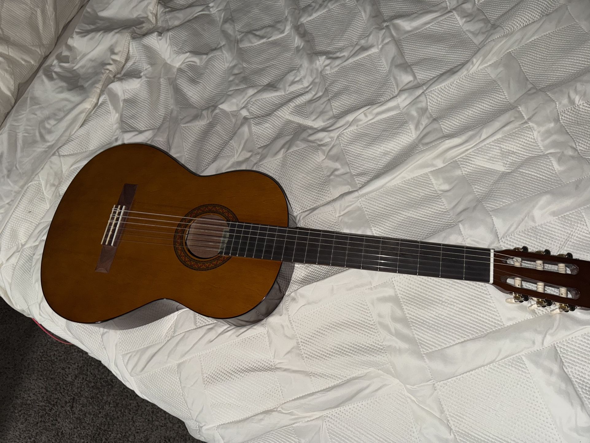 Guitar