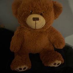 Teddy Bear 