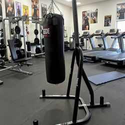 Ringside punching bag and Everlast Stand