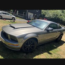 2005 Mustang Gt V8