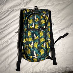 Backpack 