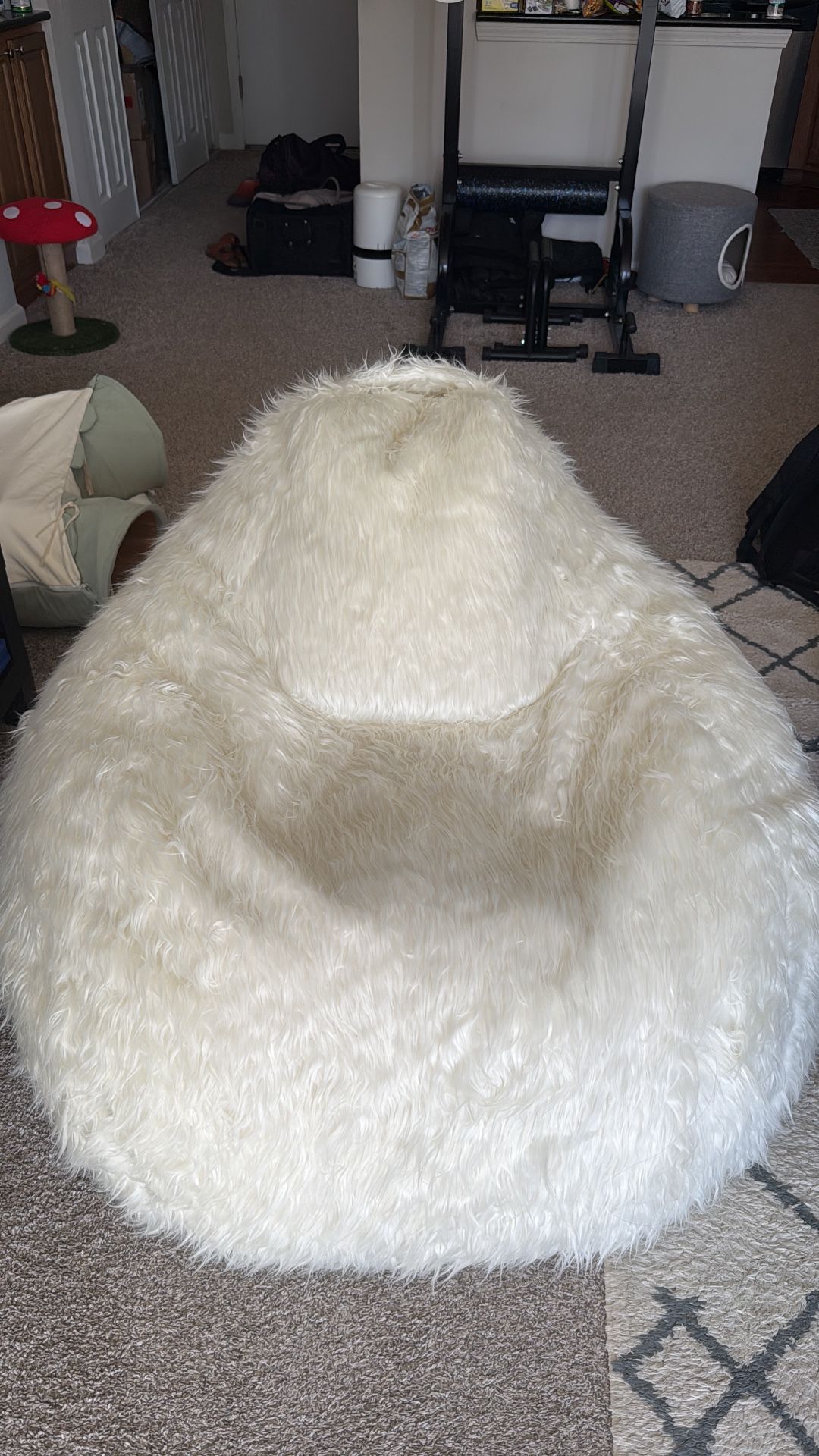 Fluffy Faux Fur Bean Bag Chair – Like New!