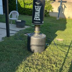 Everlast Boxing/UFC/MMA Stand Bag 