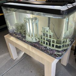 55 Gal Tank And Nice Solid Stand Decor Light And Filter