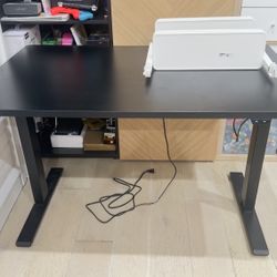 Standing Desk 48x30 (inc)