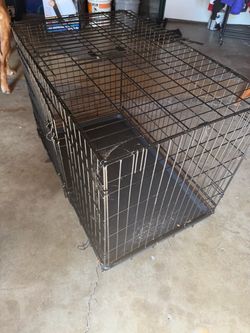 Dog crate with divider