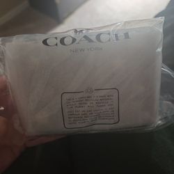 Coach Chain Purse