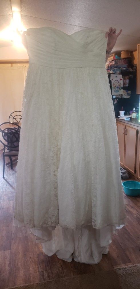 Strapless Plus Size David's Bridal Wedding Dress