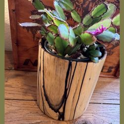 Free Shipping! Hand Turned Artisanal Wood Vase Utensil Holder Or Planter