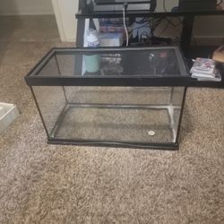 10 Gallon Tank