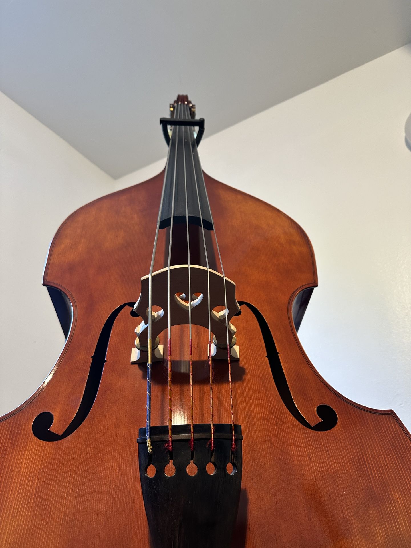 5 String Upright Bass 