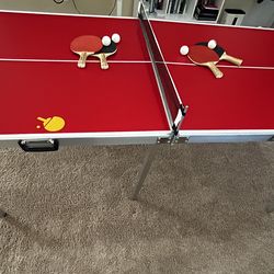 Ping pong table
