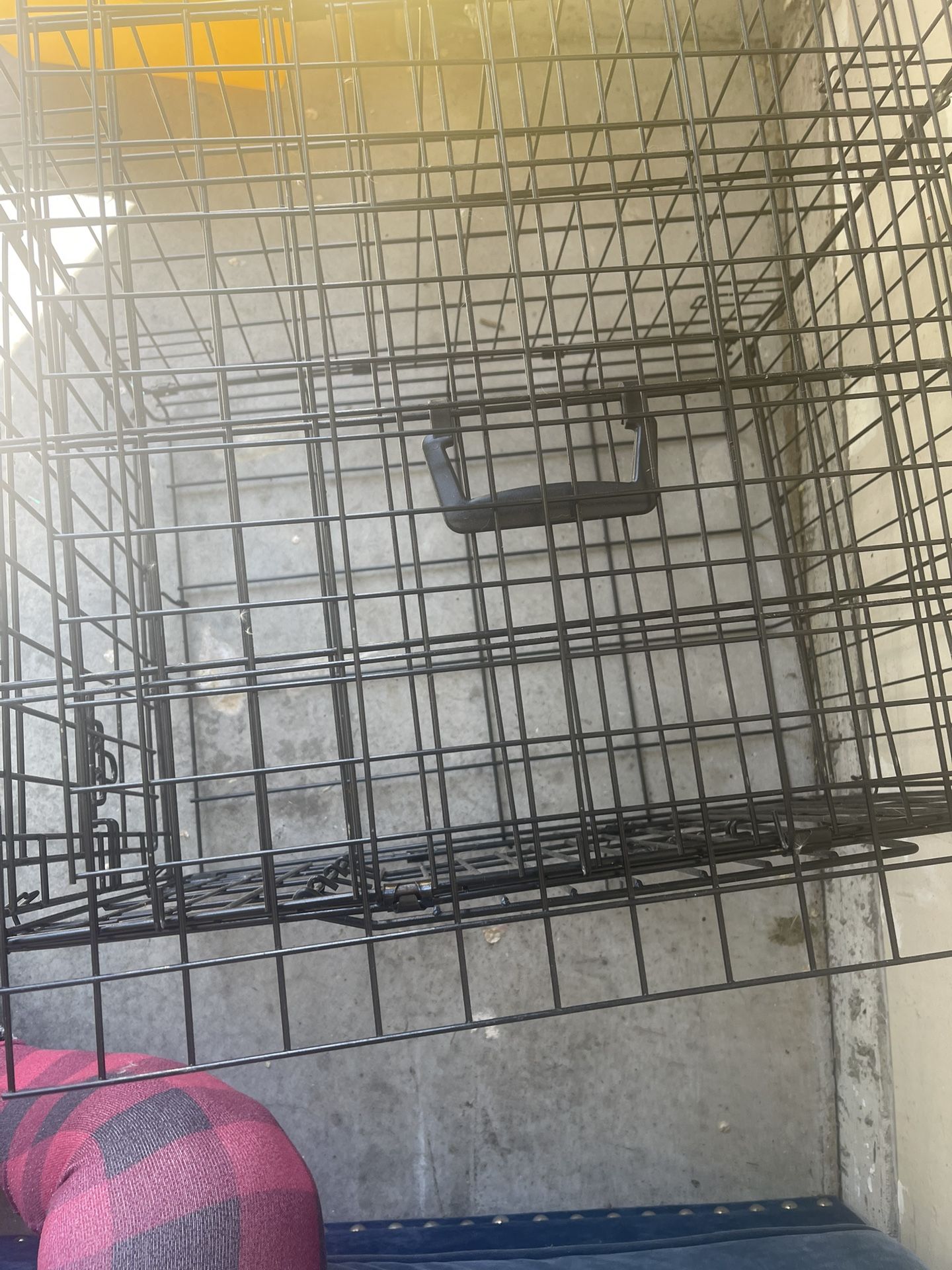 Dog House