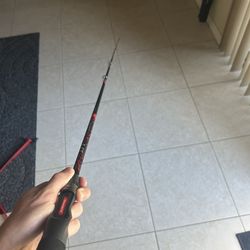 Favorite Lit 7’3” Bait Casting Rod