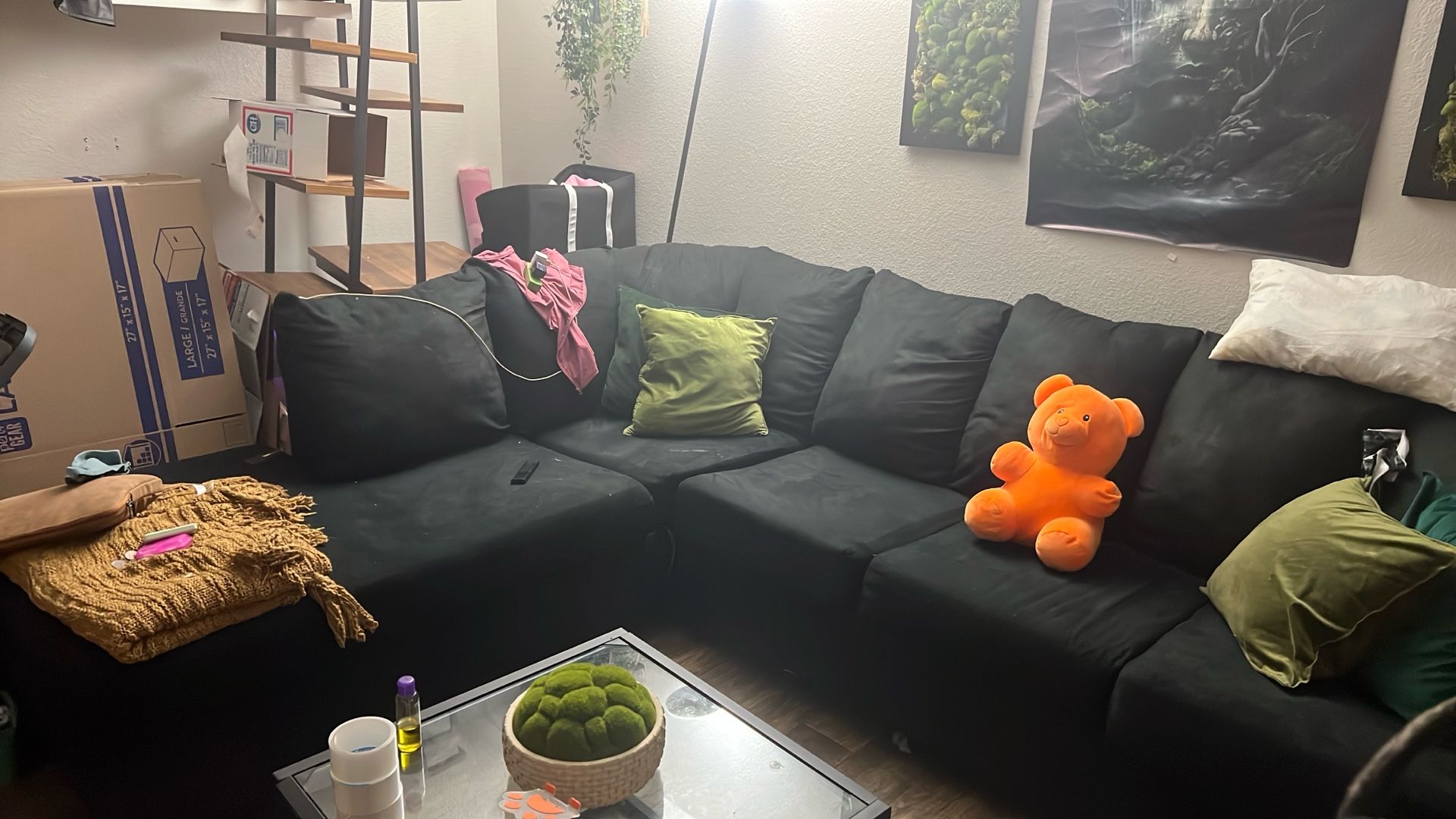 Sectional Couch