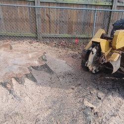 Stump Grinding 