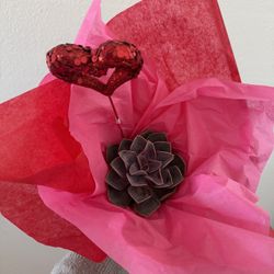 Valentines Succulent