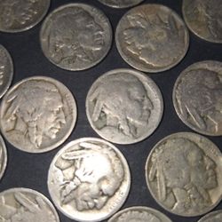 30 Buffalo Nickels