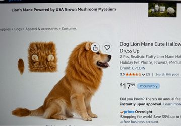 Dog Lion Halloween Costume