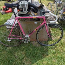 Diamond Back Bike