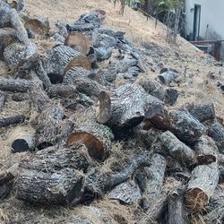 FIRE  WOOD  whiteoak