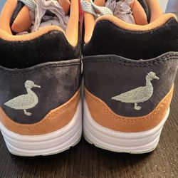 Nike Ugly Ducklings 