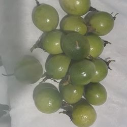 1 Dozen of Passion Fruits For Sale