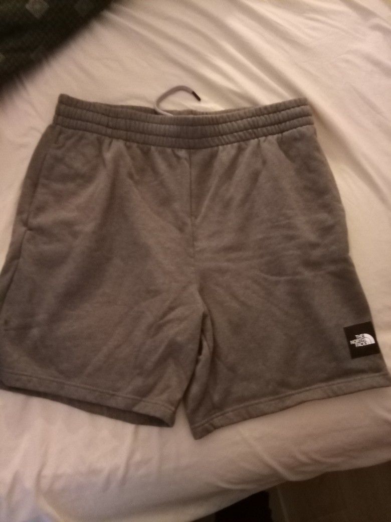 Barely Used The North Face Box NSE Shorts (Men's Large)