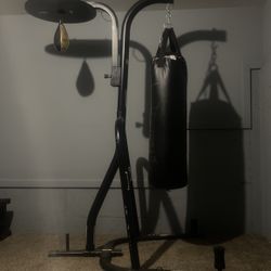 Everlast Powercore Dual Bag and Stand/Punching Bag 