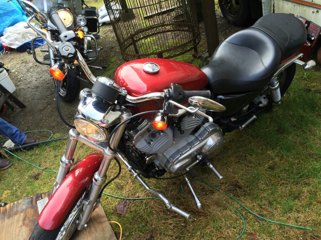96 Harley sportster