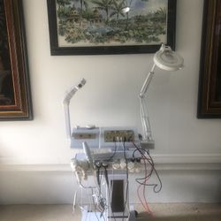 12-1 Multifunction Facial Machine 