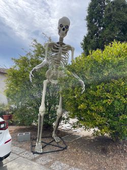 12 ft skeleton