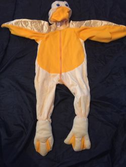 Duck costume 12/18 months