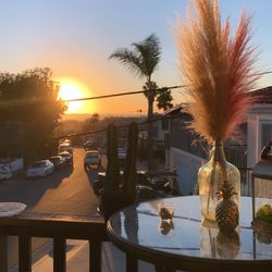 3 Pastel Pampas In Bottle 