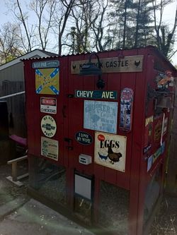Chicken Coop With Automatic Door