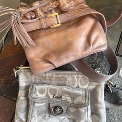 MK And Coach Bag