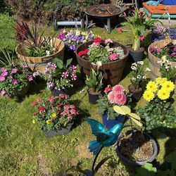 Flowers Hanging Baskets& Flower Pots+birdbath+barrel Planters Bundle Deal Sale