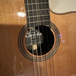 Cordoba Orchestra Guitar