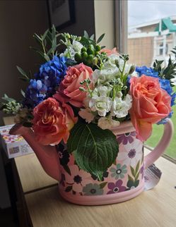 Aldi Planter