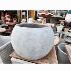 Flower and Palm Pots