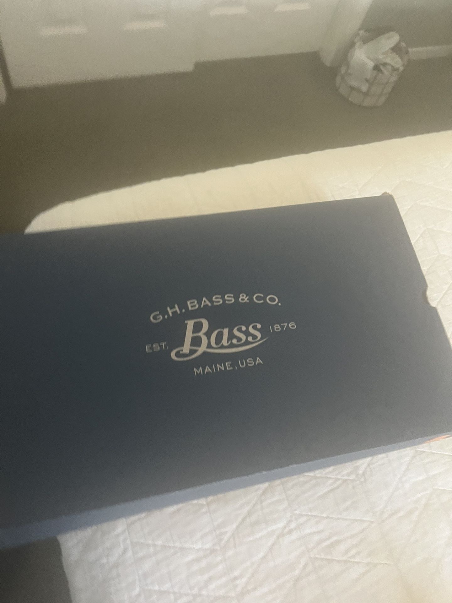 Bass Women Boots