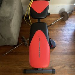 Workout Bench 