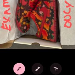 Nike SB Dunk Wizard Of Oz Poppy Fields